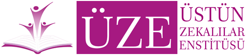 Üstün Zekâlılar Enstitüsü